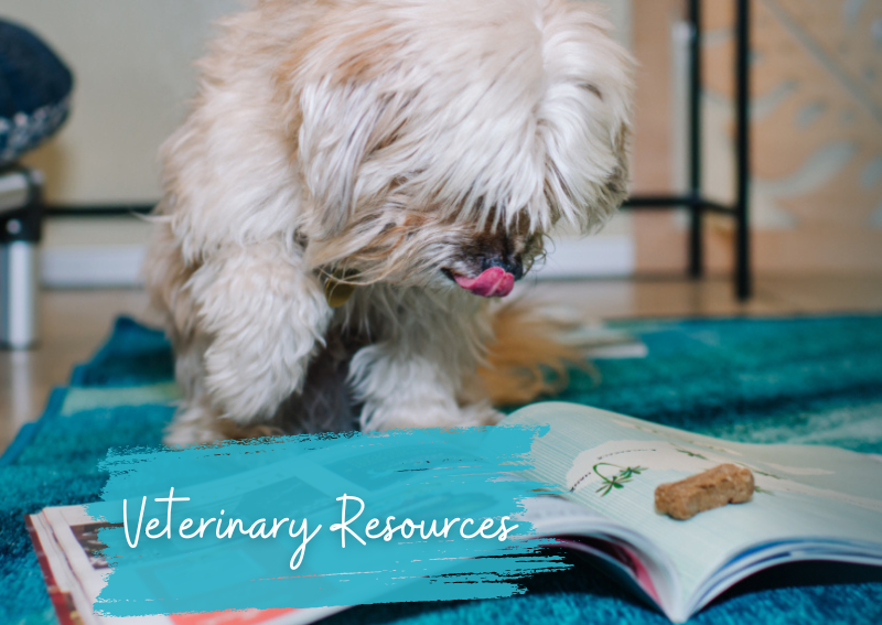 Carousel Slide 4: Resources available online