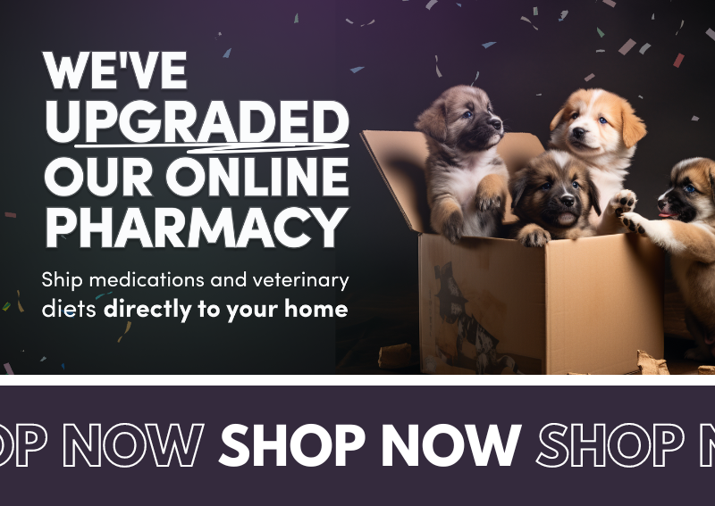 Carousel Slide 1: Online Pharmacy