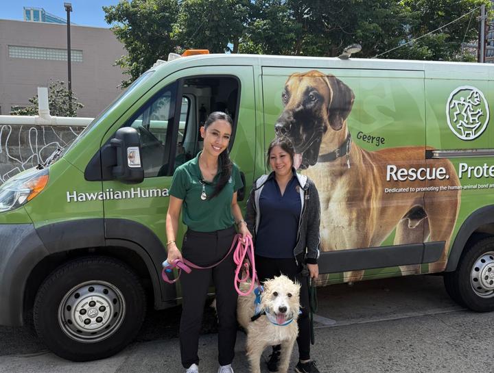 Ali'i Animal Hospitals and Hawaiian Humane Society: Spa Days for Shelter Pets